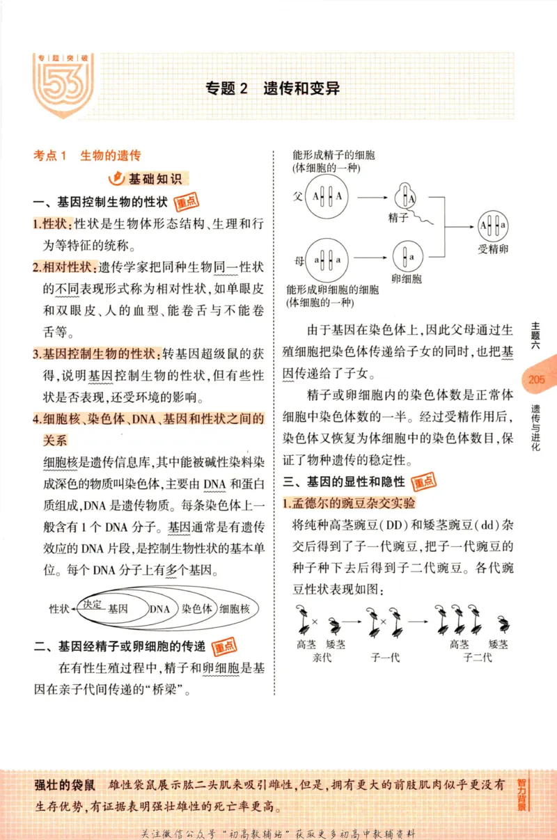 2023版《5年中考3年模拟》中考生物知识清单_53中考总复习_2023版