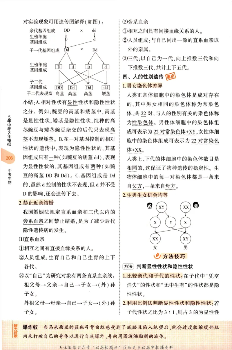 2023版《5年中考3年模拟》中考生物知识清单_53中考总复习_2023版