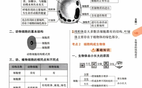 2023版《5年中考3年模拟》中考生物知识清单_53中考总复习_2023版