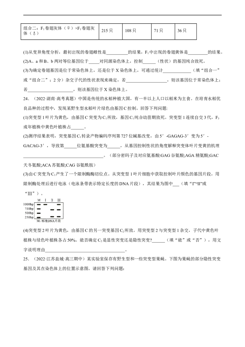解密06遗传的基本规律（分层训练)（原卷版）_通用版（老高考）复习资料_2023年复习资料_二轮复习_高频考点解密2023年高考生物二轮复习讲义+分层训练（全国通用）