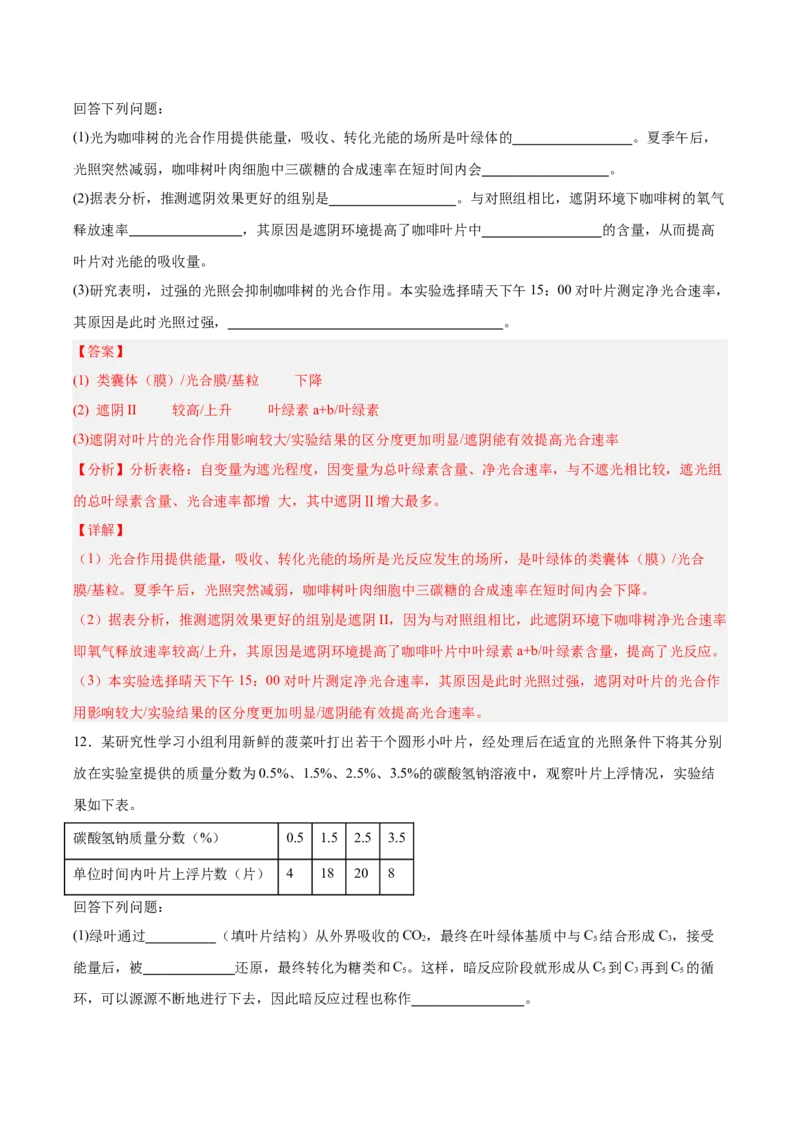 考点通关卷10光合作用（解析版）_2025年新高考资料_一轮复习_2025年高考生物一轮复习考点通关卷（新高考通用）_考点通关卷10光合作用-2025年高考生物一轮复习考点通关卷（新高考通用）