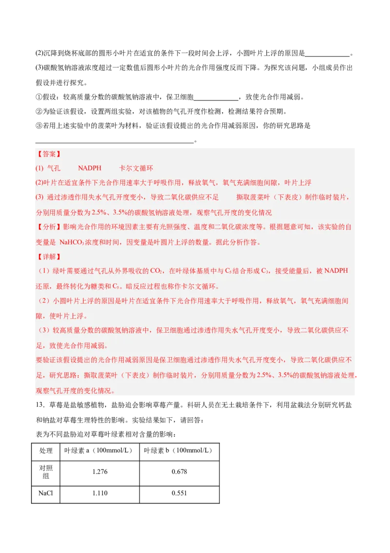 考点通关卷10光合作用（解析版）_2025年新高考资料_一轮复习_2025年高考生物一轮复习考点通关卷（新高考通用）_考点通关卷10光合作用-2025年高考生物一轮复习考点通关卷（新高考通用）