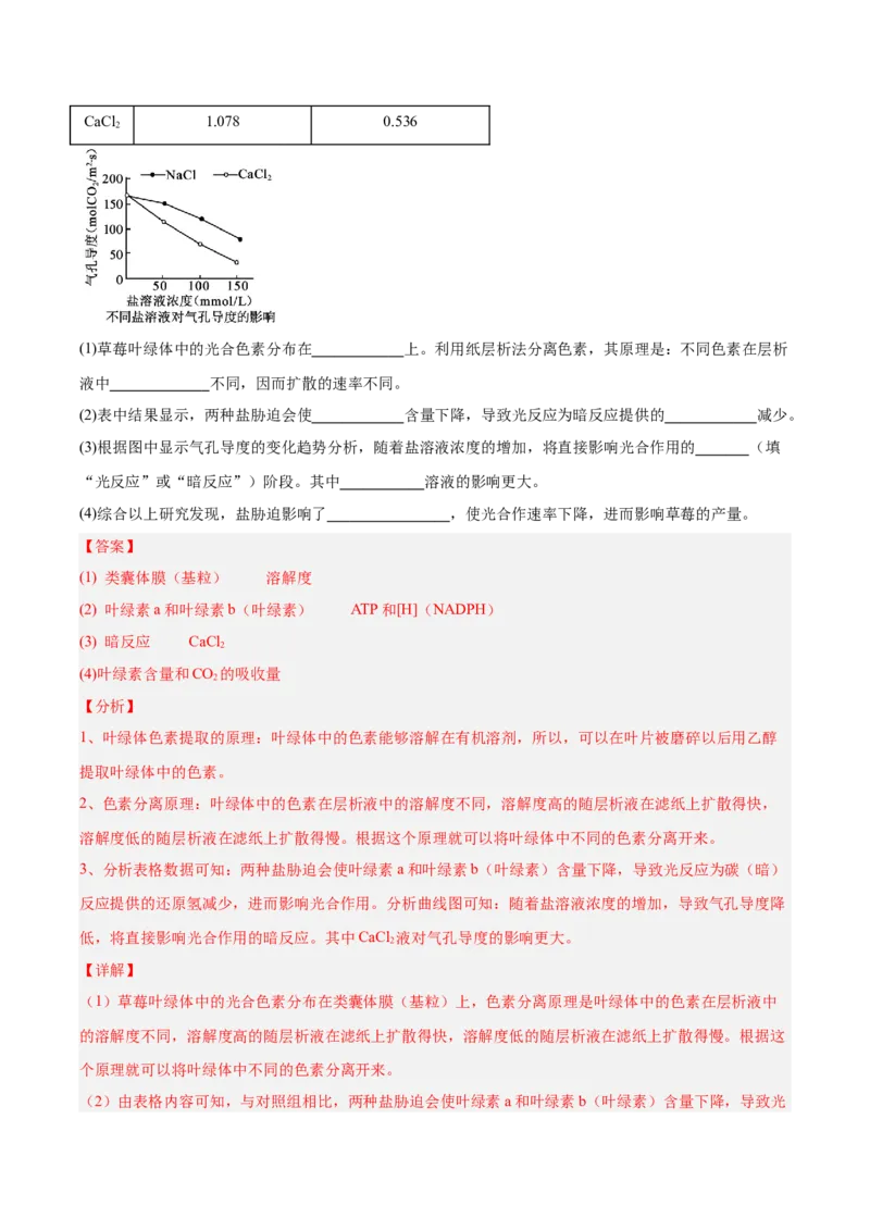 考点通关卷10光合作用（解析版）_2025年新高考资料_一轮复习_2025年高考生物一轮复习考点通关卷（新高考通用）_考点通关卷10光合作用-2025年高考生物一轮复习考点通关卷（新高考通用）