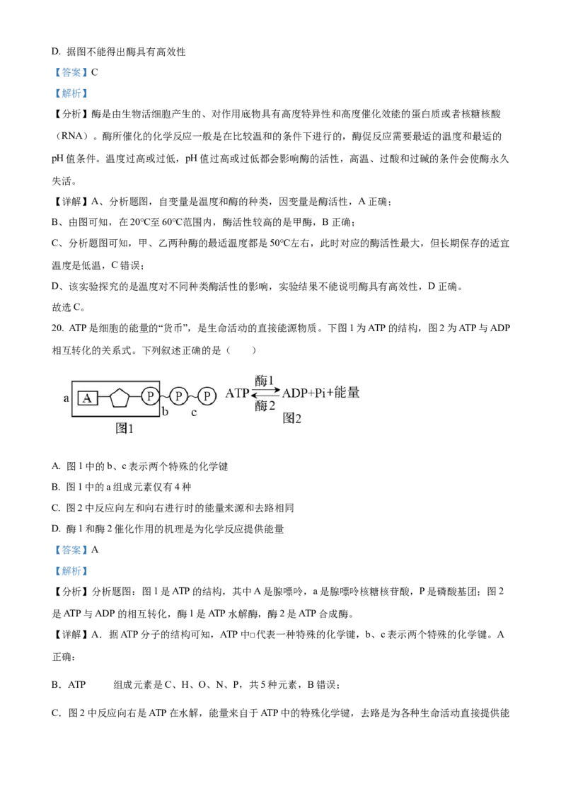 陕西省商洛市2024-2025学年高一上学期1月期末生物试题Word版含解析_2025年03月试卷_0306陕西省商洛市2024-2025学年高一上学期1月期末考试