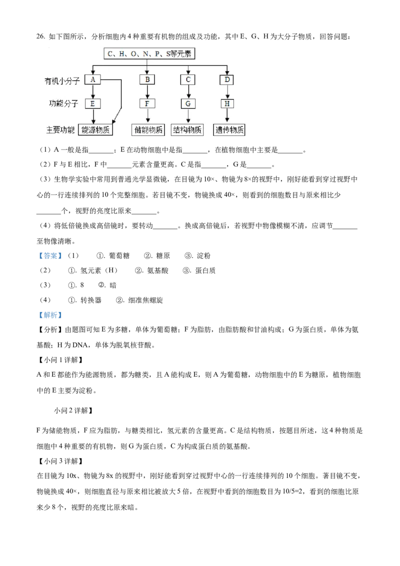 陕西省商洛市2024-2025学年高一上学期1月期末生物试题Word版含解析_2025年03月试卷_0306陕西省商洛市2024-2025学年高一上学期1月期末考试