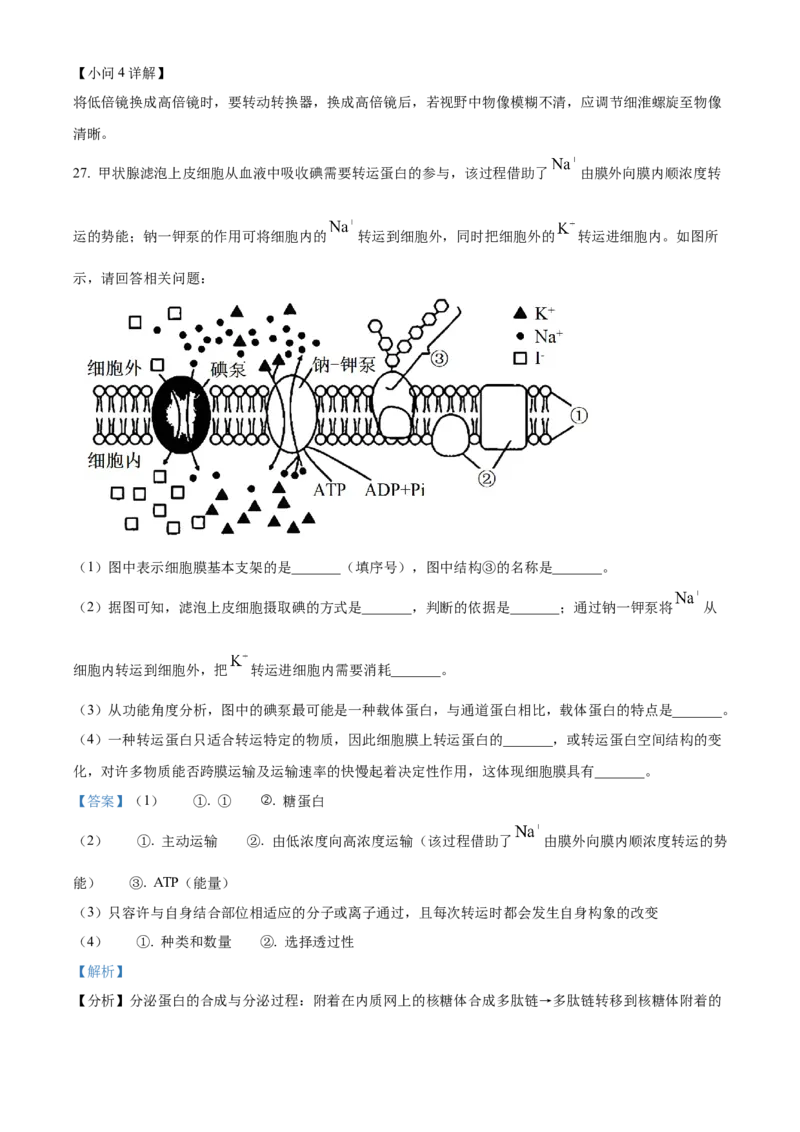 陕西省商洛市2024-2025学年高一上学期1月期末生物试题Word版含解析_2025年03月试卷_0306陕西省商洛市2024-2025学年高一上学期1月期末考试
