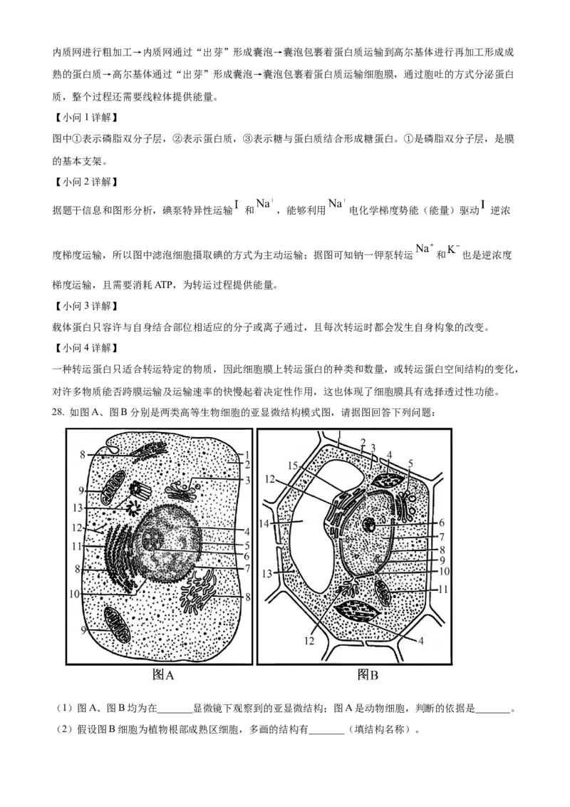 陕西省商洛市2024-2025学年高一上学期1月期末生物试题Word版含解析_2025年03月试卷_0306陕西省商洛市2024-2025学年高一上学期1月期末考试