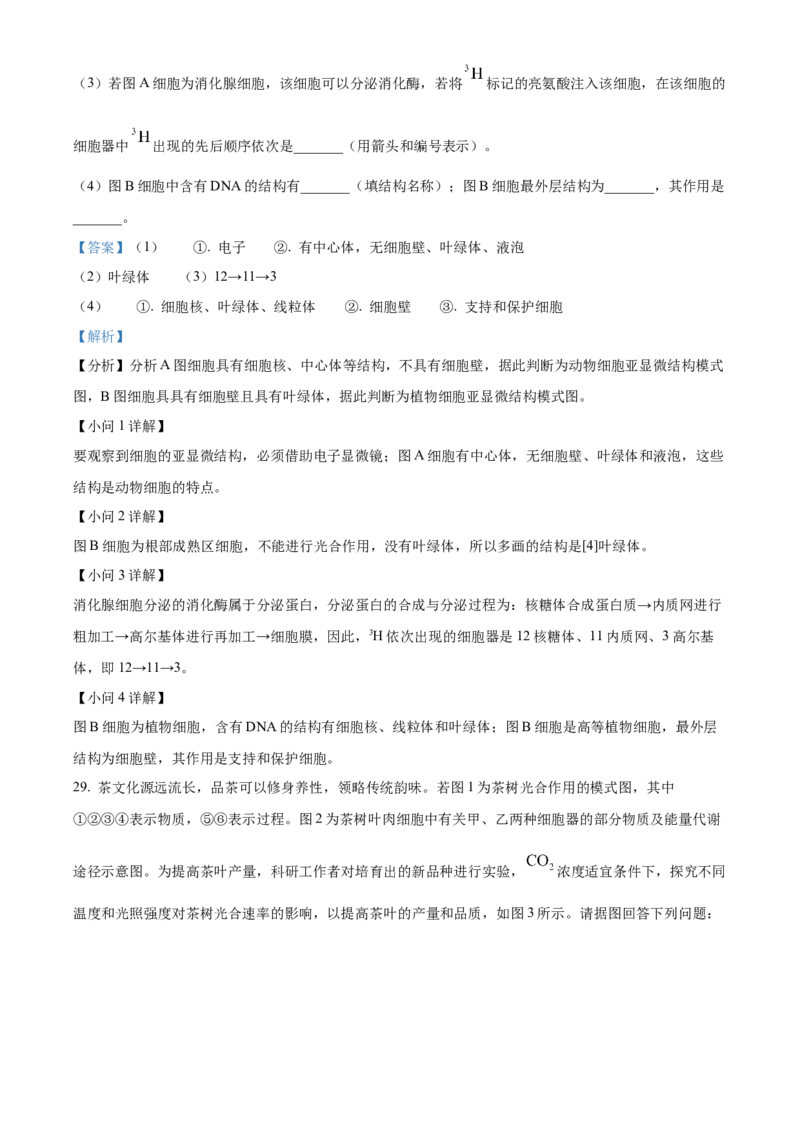 陕西省商洛市2024-2025学年高一上学期1月期末生物试题Word版含解析_2025年03月试卷_0306陕西省商洛市2024-2025学年高一上学期1月期末考试