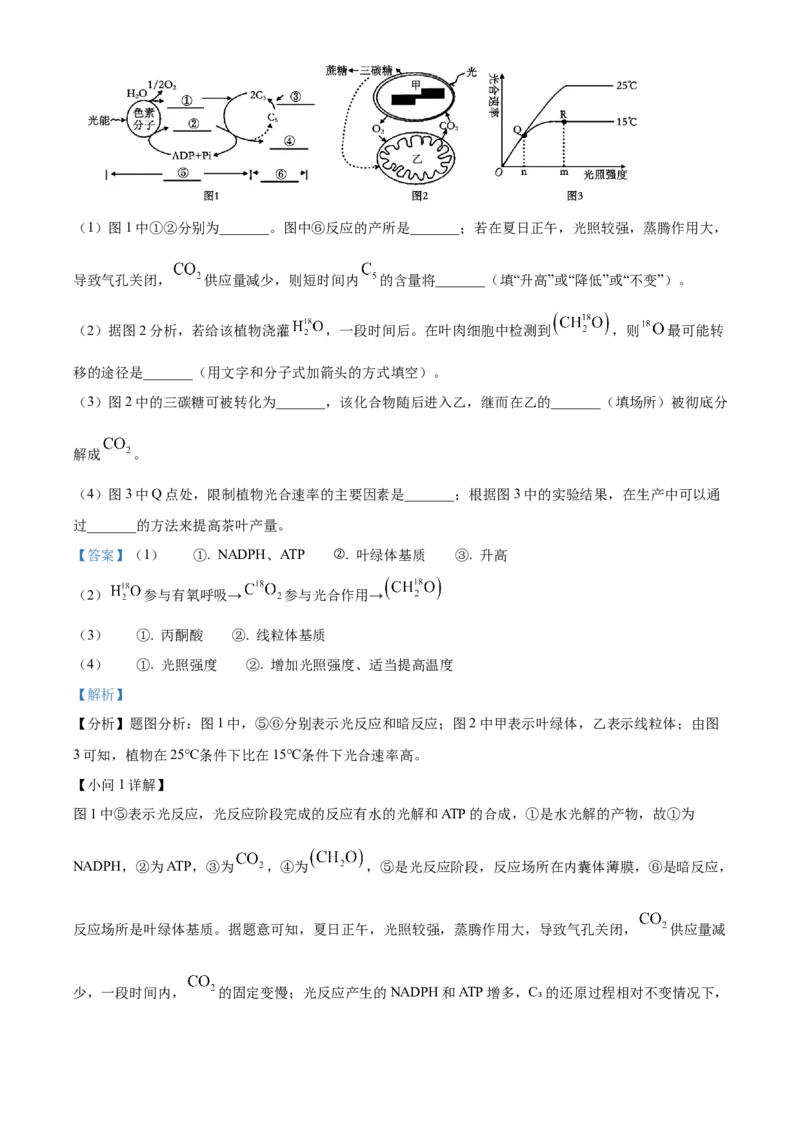 陕西省商洛市2024-2025学年高一上学期1月期末生物试题Word版含解析_2025年03月试卷_0306陕西省商洛市2024-2025学年高一上学期1月期末考试