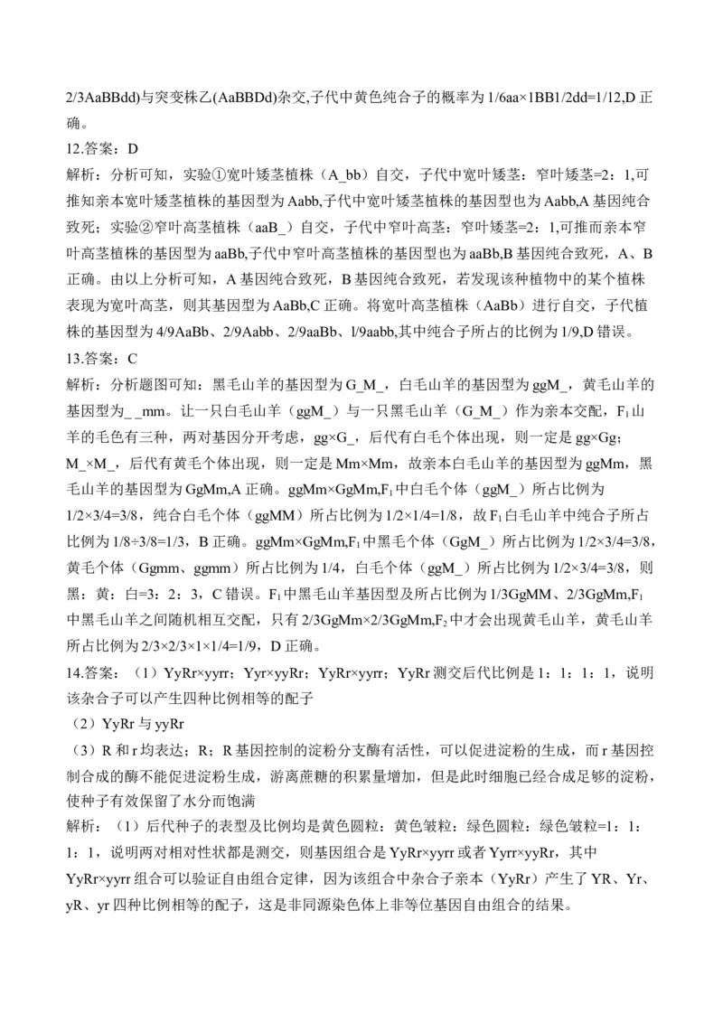 （11）基因的自由组合定律&mdash;&mdash;2025届高考生物二轮复习易错重难提升（含解析）_2025年新高考资料_二轮复习_2025届高考生物二轮复习易错重难提升（含解析）