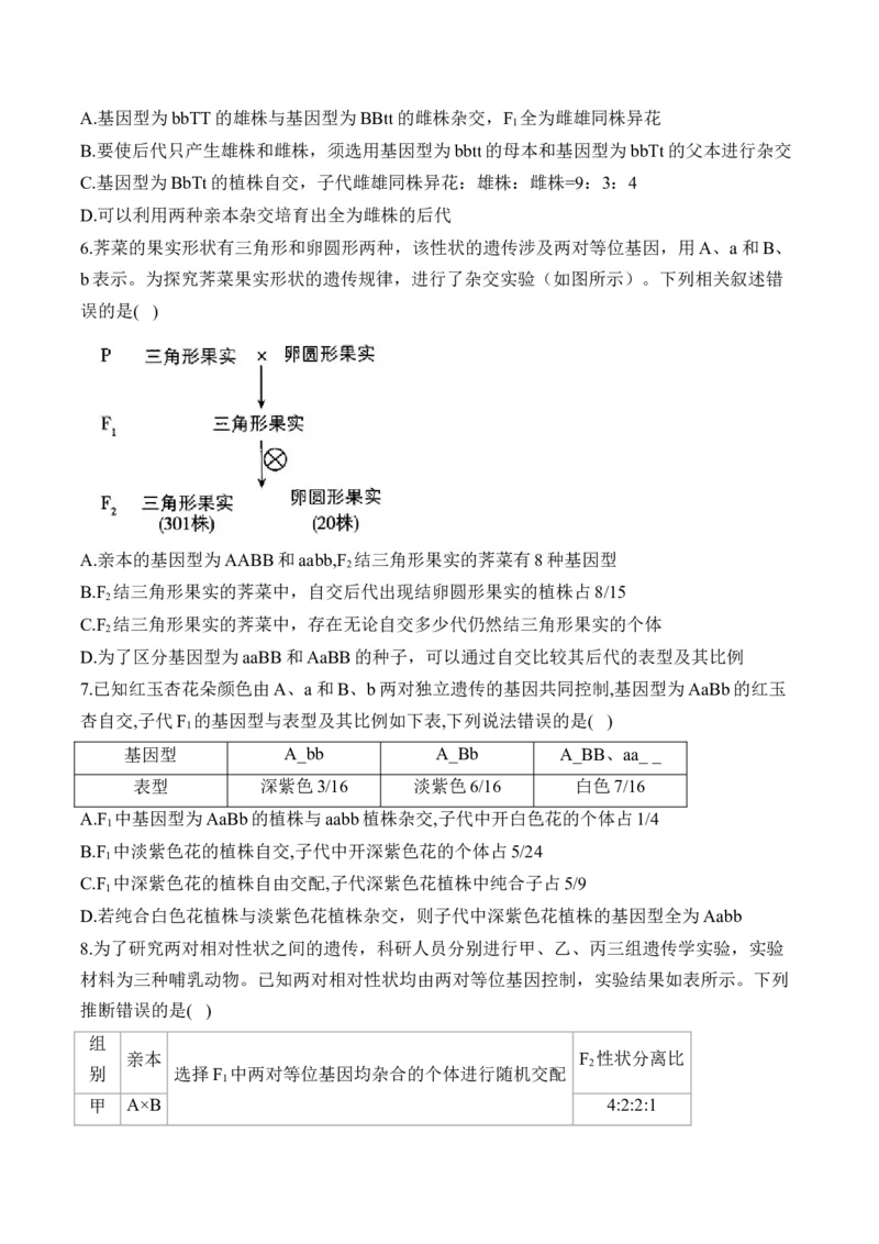 （11）基因的自由组合定律&mdash;&mdash;2025届高考生物二轮复习易错重难提升（含解析）_2025年新高考资料_二轮复习_2025届高考生物二轮复习易错重难提升（含解析）