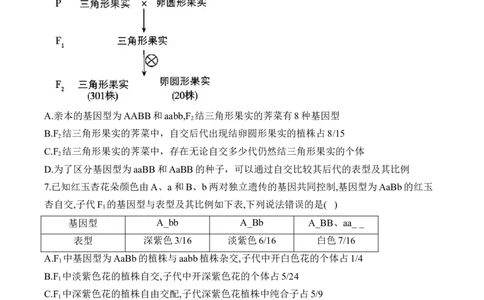 （11）基因的自由组合定律&mdash;&mdash;2025届高考生物二轮复习易错重难提升（含解析）_2025年新高考资料_二轮复习_2025届高考生物二轮复习易错重难提升（含解析）