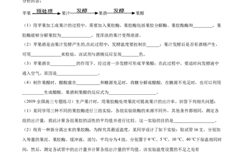 解密24酶的应用（分层训练）（原卷版）_新高考复习资料_2021年新高考资料_高频考点解密2021年高考生物二轮复习讲义+分层训练4.7更新