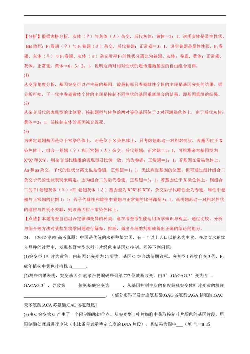 解密06遗传的基本规律（分层训练)（解析版）_通用版（老高考）复习资料_2023年复习资料_二轮复习_高频考点解密2023年高考生物二轮复习讲义+分层训练（全国通用）