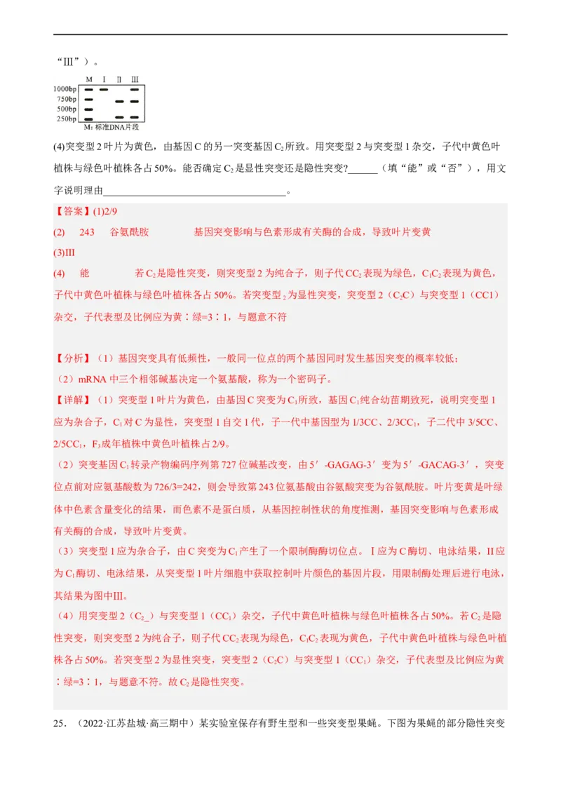 解密06遗传的基本规律（分层训练)（解析版）_通用版（老高考）复习资料_2023年复习资料_二轮复习_高频考点解密2023年高考生物二轮复习讲义+分层训练（全国通用）