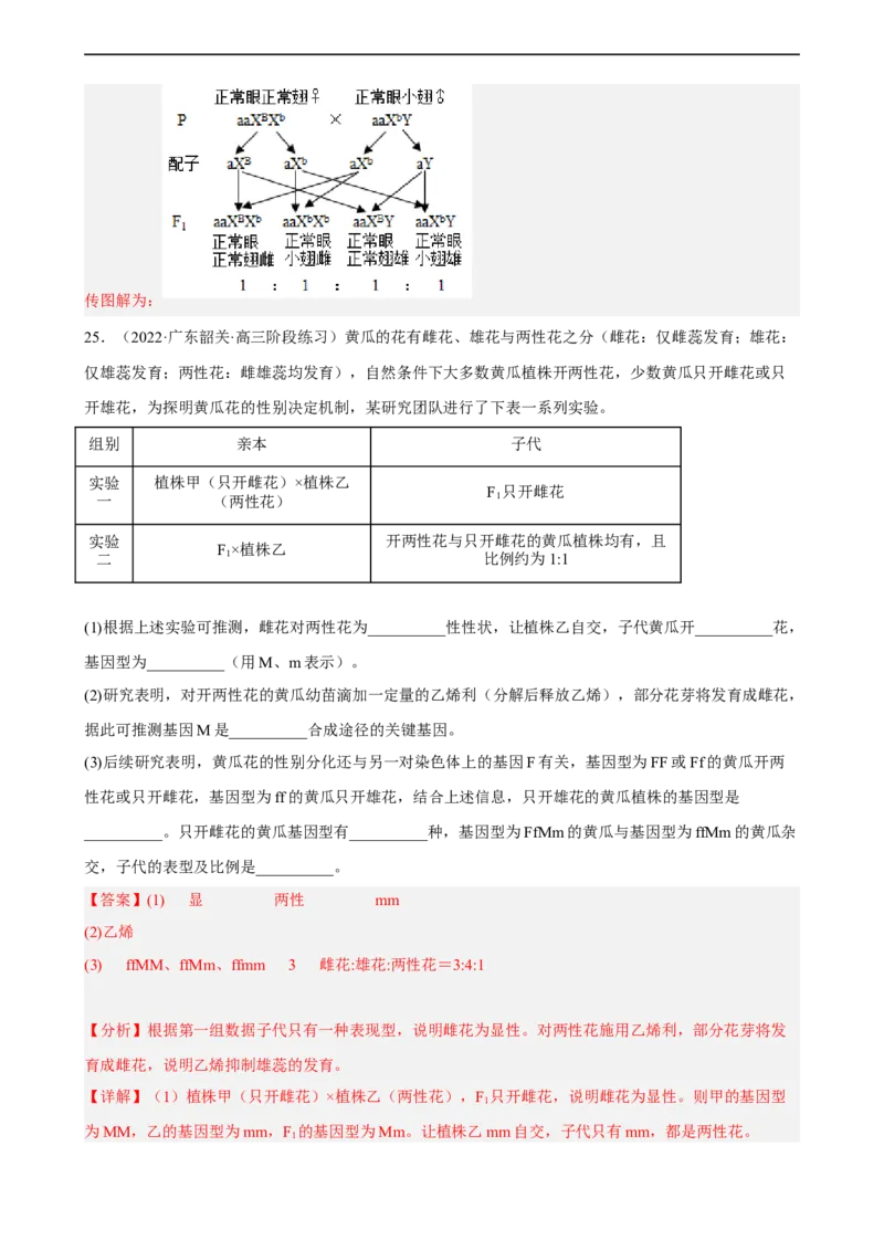 解密06遗传的基本规律（分层训练)（解析版）_通用版（老高考）复习资料_2023年复习资料_二轮复习_高频考点解密2023年高考生物二轮复习讲义+分层训练（全国通用）