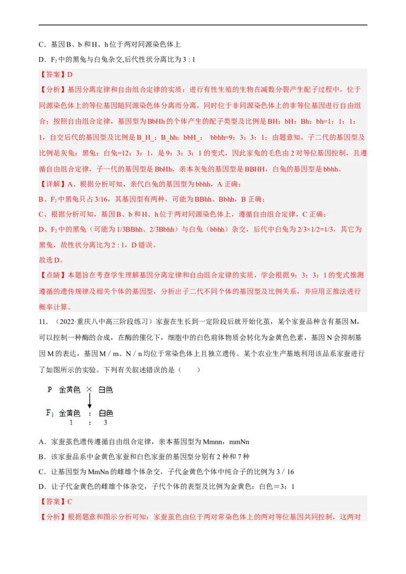 解密06遗传的基本规律（分层训练)（解析版）_通用版（老高考）复习资料_2023年复习资料_二轮复习_高频考点解密2023年高考生物二轮复习讲义+分层训练（全国通用）