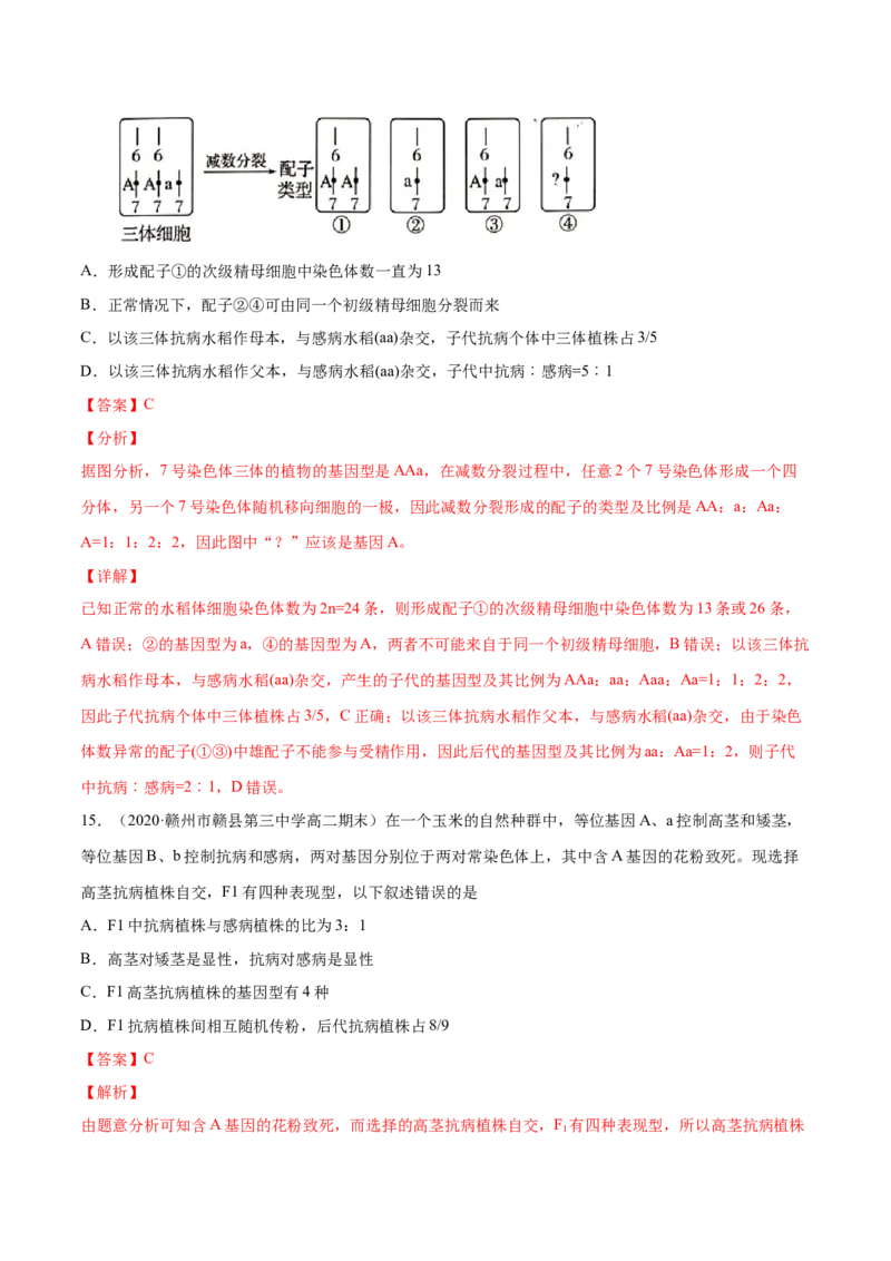 解密11遗传的基本规律（分层训练）（解析版）_新高考复习资料_2021年新高考资料_高频考点解密2021年高考生物二轮复习讲义+分层训练4.7更新