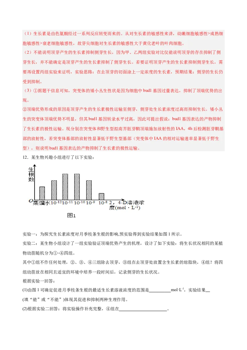 考点通关卷29植物生命活动的调节（解析版）_2025年新高考资料_一轮复习_2025年高考生物一轮复习考点通关卷（新高考通用）