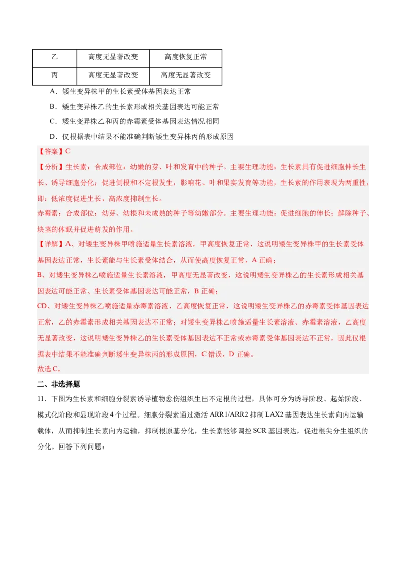 考点通关卷29植物生命活动的调节（解析版）_2025年新高考资料_一轮复习_2025年高考生物一轮复习考点通关卷（新高考通用）