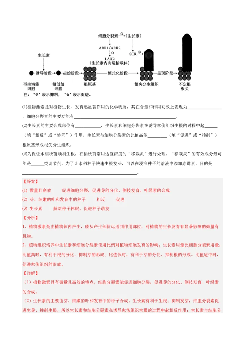 考点通关卷29植物生命活动的调节（解析版）_2025年新高考资料_一轮复习_2025年高考生物一轮复习考点通关卷（新高考通用）