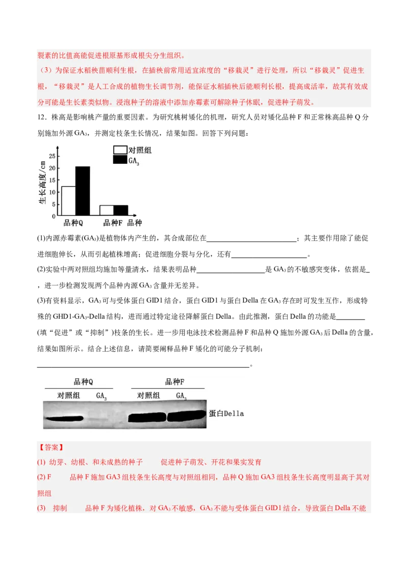 考点通关卷29植物生命活动的调节（解析版）_2025年新高考资料_一轮复习_2025年高考生物一轮复习考点通关卷（新高考通用）