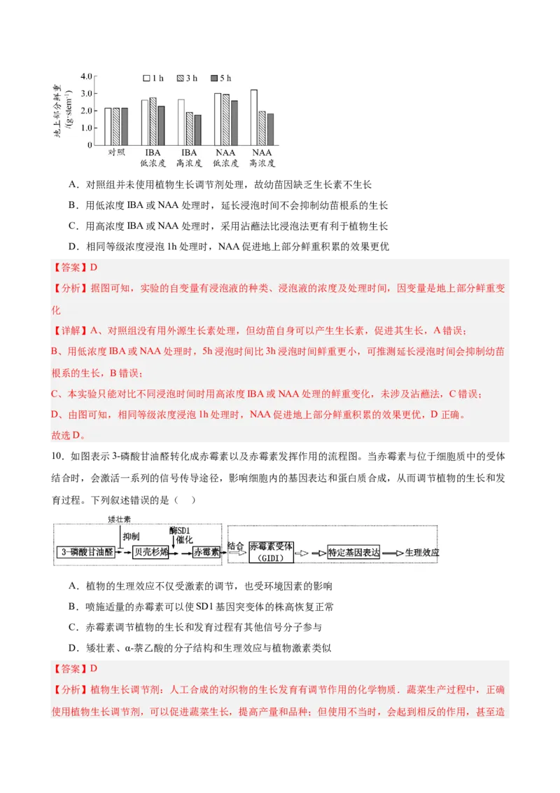 考点通关卷29植物生命活动的调节（解析版）_2025年新高考资料_一轮复习_2025年高考生物一轮复习考点通关卷（新高考通用）