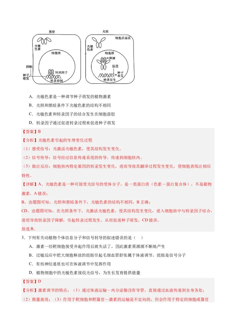 考点通关卷29植物生命活动的调节（解析版）_2025年新高考资料_一轮复习_2025年高考生物一轮复习考点通关卷（新高考通用）