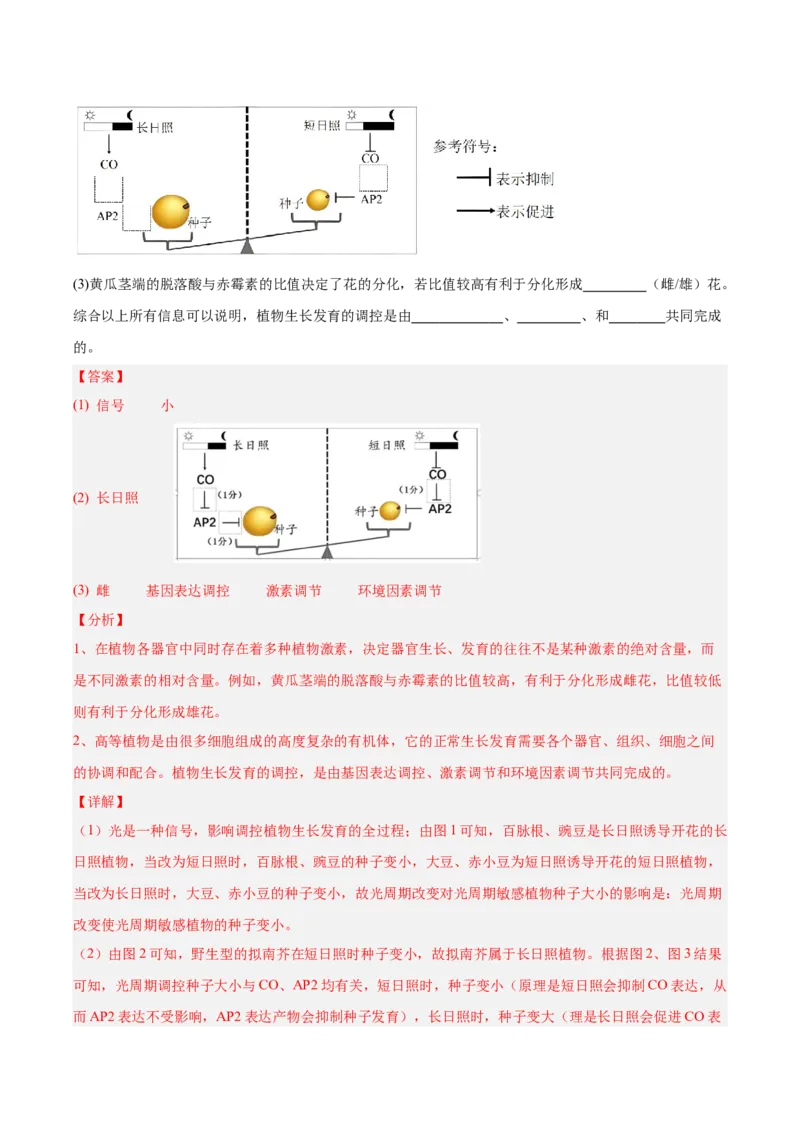 考点通关卷29植物生命活动的调节（解析版）_2025年新高考资料_一轮复习_2025年高考生物一轮复习考点通关卷（新高考通用）