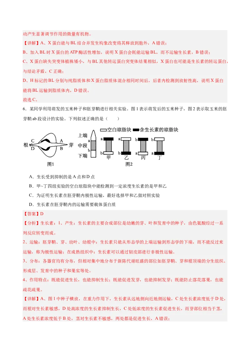 考点通关卷29植物生命活动的调节（解析版）_2025年新高考资料_一轮复习_2025年高考生物一轮复习考点通关卷（新高考通用）