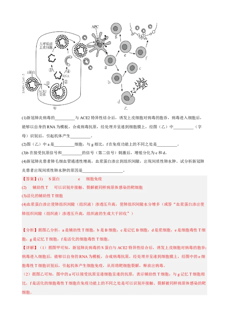 解密13免疫调节（分层训练)（解析版）_新高考复习资料_2023年新高考复习资料_二轮复习_高频考点解密2023年高考生物二轮复习讲义+分层训练（全国通用）288808838