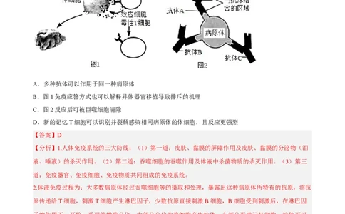 解密13免疫调节（分层训练)（解析版）_新高考复习资料_2023年新高考复习资料_二轮复习_高频考点解密2023年高考生物二轮复习讲义+分层训练（全国通用）288808838