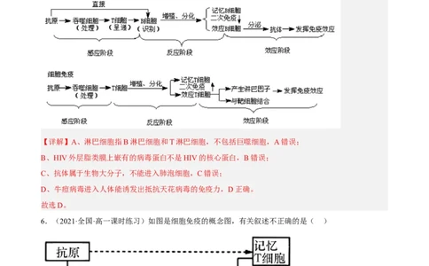 解密13免疫调节（分层训练)（解析版）_新高考复习资料_2023年新高考复习资料_二轮复习_高频考点解密2023年高考生物二轮复习讲义+分层训练（全国通用）288808838