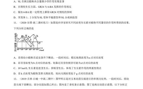 解密14植物生命活动的调节（分层训练)（原卷版）_新高考复习资料_2023年新高考复习资料_二轮复习_高频考点解密2023年高考生物二轮复习讲义+分层训练（全国通用）288808838