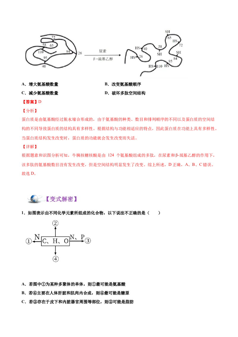 解密01细胞的分子组成和结构（讲义）-高频考点解密2021年高考生物二轮复习讲义+分层训练_新高考复习资料_2021年新高考资料