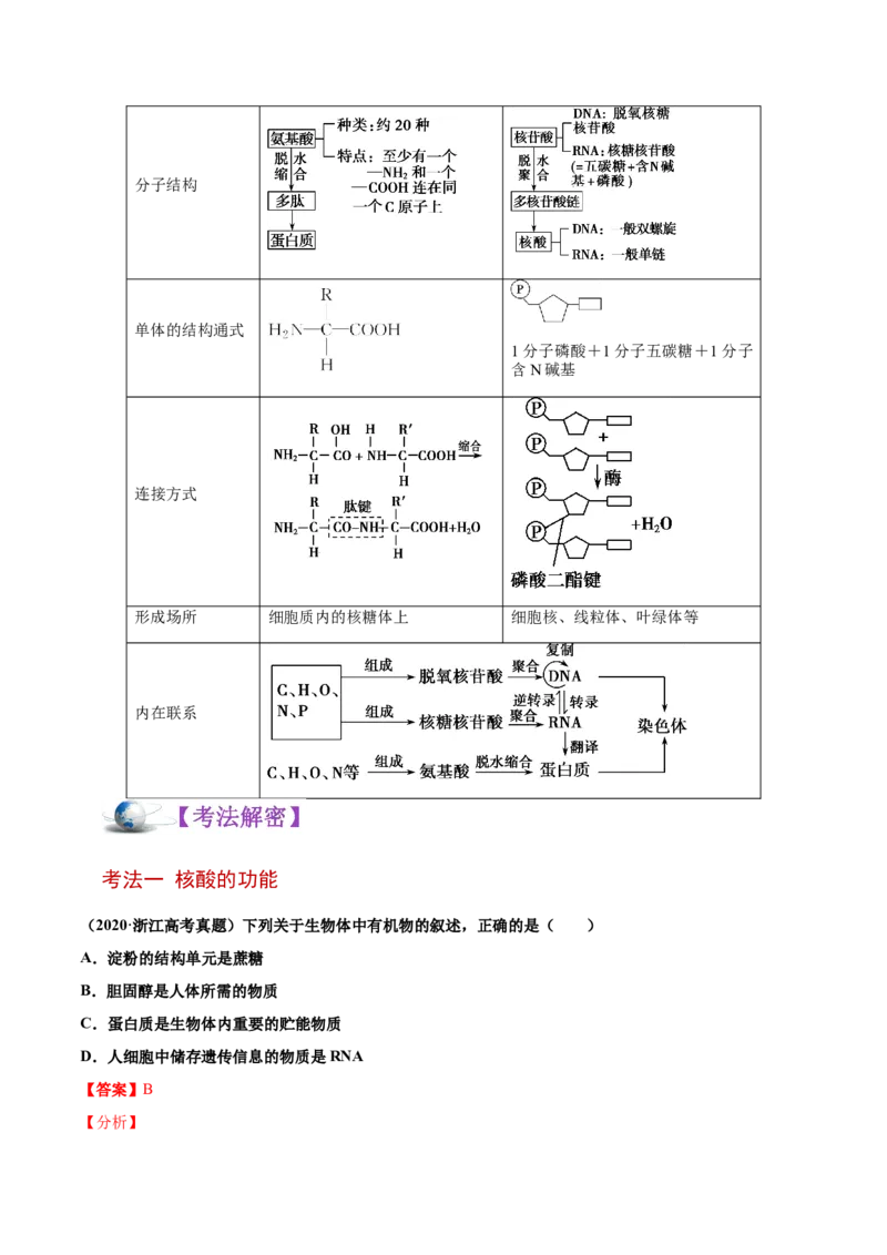 解密01细胞的分子组成和结构（讲义）-高频考点解密2021年高考生物二轮复习讲义+分层训练_新高考复习资料_2021年新高考资料