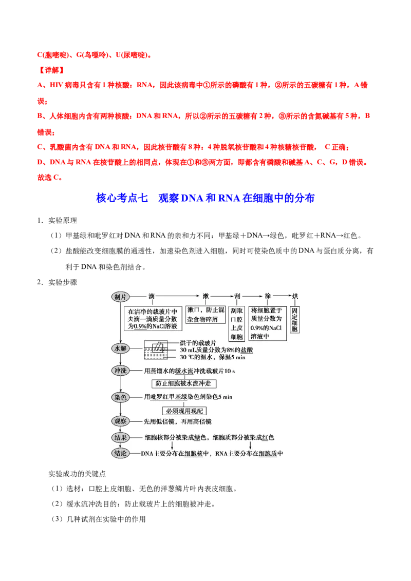 解密01细胞的分子组成和结构（讲义）-高频考点解密2021年高考生物二轮复习讲义+分层训练_新高考复习资料_2021年新高考资料
