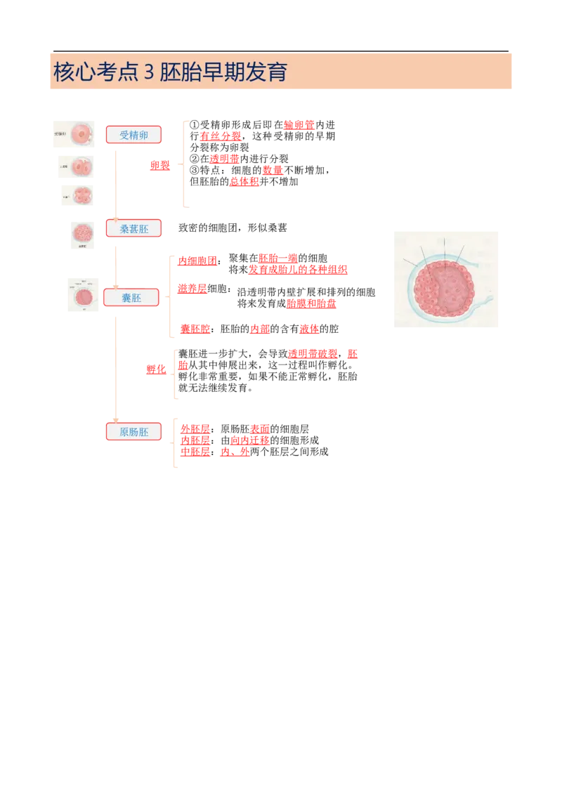 解密18细胞工程（讲义）（教师版）_通用版（老高考）复习资料_2023年复习资料_二轮复习_高频考点解密2023年高考生物二轮复习讲义+分层训练（全国通用）