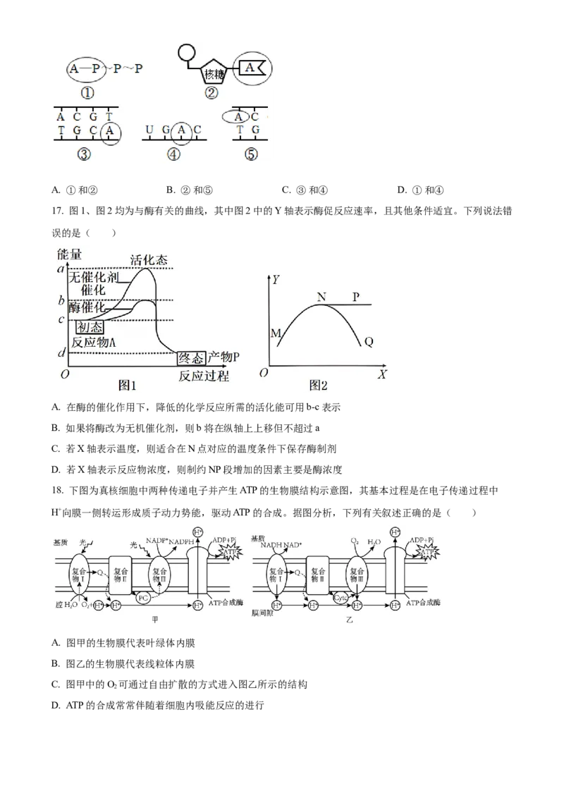 黑龙江省黑河市龙西北高中名校联盟2024-2025学年高一下学期开学考试生物试题（原卷版）_2025年04月试卷_0412黑龙江省黑河市龙西北高中名校联盟2024-2025学年高一下学期开学联考