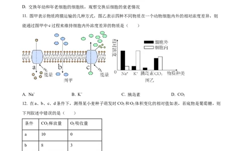 黑龙江省黑河市龙西北高中名校联盟2024-2025学年高一下学期开学考试生物试题（原卷版）_2025年04月试卷_0412黑龙江省黑河市龙西北高中名校联盟2024-2025学年高一下学期开学联考