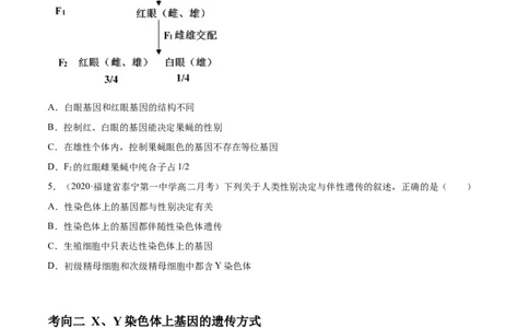 解密12人类遗传病及伴性遗传（分层训练）（原卷版）_新高考复习资料_2021年新高考资料_高频考点解密2021年高考生物二轮复习讲义+分层训练4.7更新