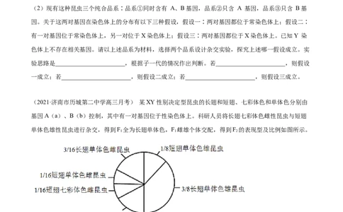 解密12人类遗传病及伴性遗传（分层训练）（原卷版）_新高考复习资料_2021年新高考资料_高频考点解密2021年高考生物二轮复习讲义+分层训练4.7更新