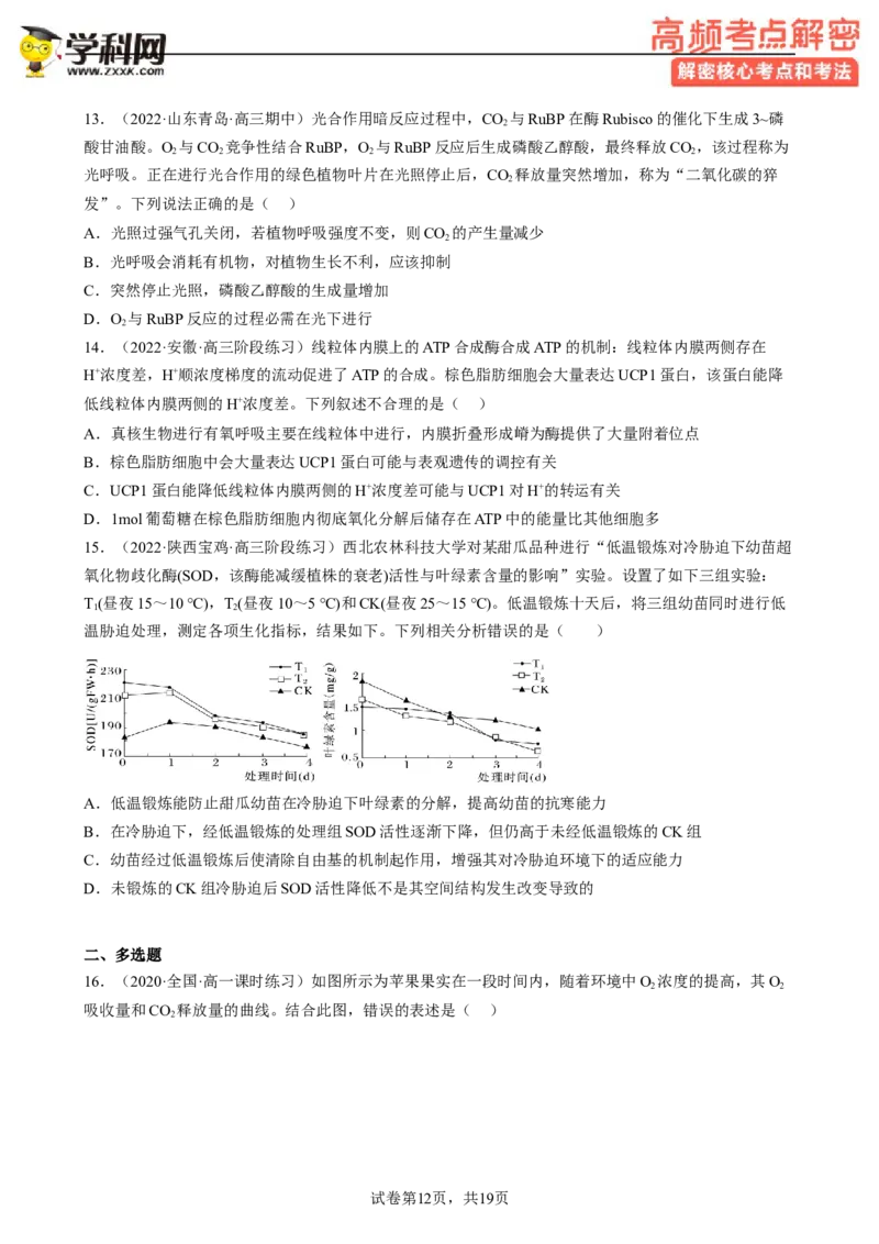 解密04细胞的能量供应和利用（分层训练)（原卷版）_新高考复习资料_2023年新高考复习资料_二轮复习_高频考点解密2023年高考生物二轮复习讲义+分层训练（全国通用）288808838