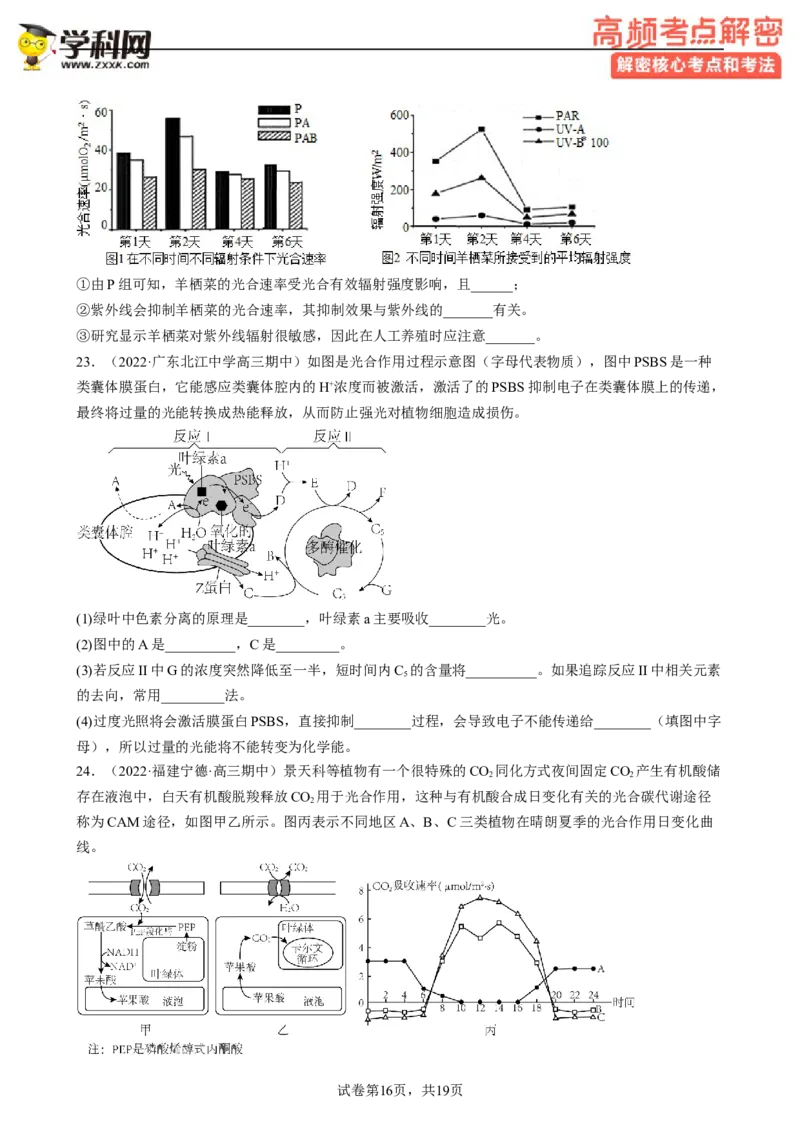 解密04细胞的能量供应和利用（分层训练)（原卷版）_新高考复习资料_2023年新高考复习资料_二轮复习_高频考点解密2023年高考生物二轮复习讲义+分层训练（全国通用）288808838