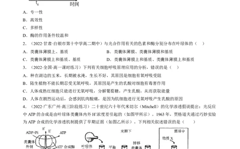 解密04细胞的能量供应和利用（分层训练)（原卷版）_新高考复习资料_2023年新高考复习资料_二轮复习_高频考点解密2023年高考生物二轮复习讲义+分层训练（全国通用）288808838