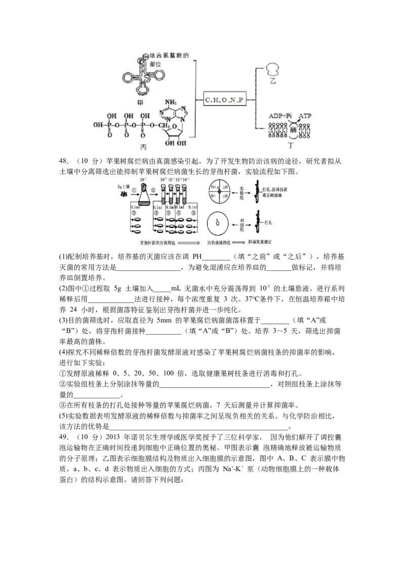 黑龙江省鹤岗市第一中学2022-2023学年高三上学期开学考试生物试题_生物高考模拟题_老高考_2023年