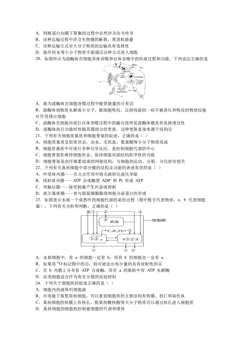 黑龙江省鹤岗市第一中学2022-2023学年高三上学期开学考试生物试题_生物高考模拟题_老高考_2023年