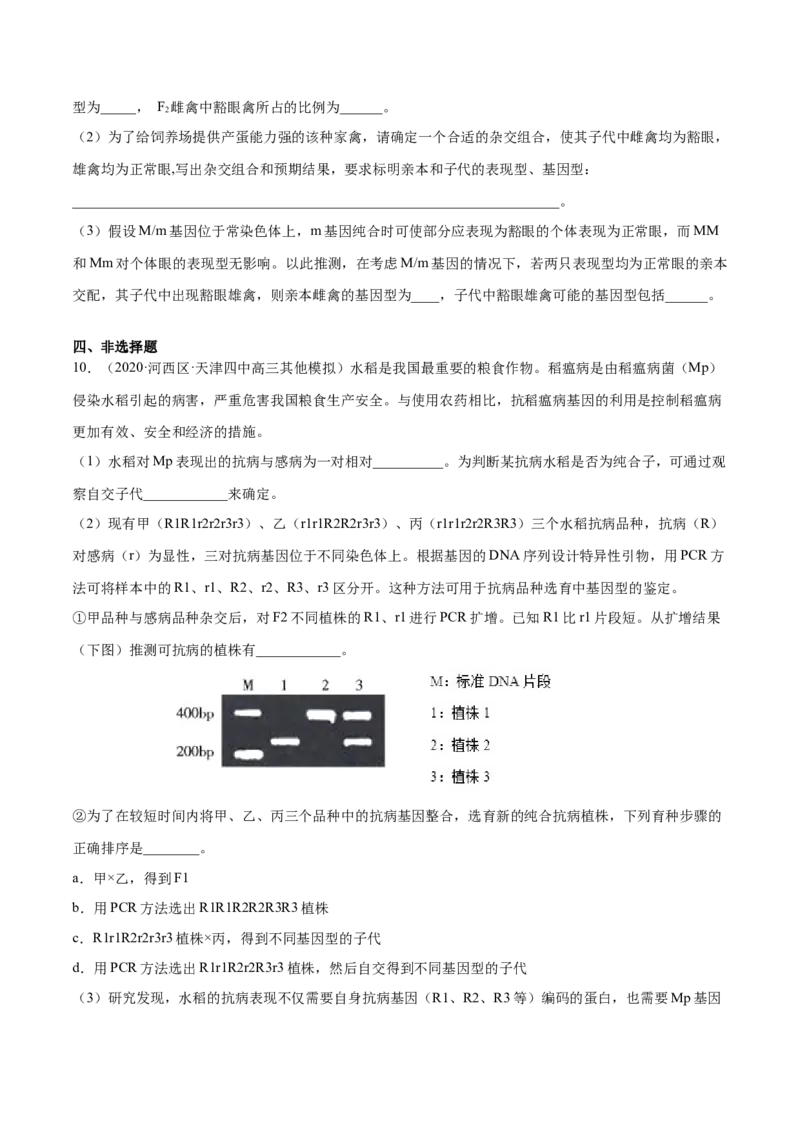 解密11遗传的基本规律（分层训练）（原卷版）_新高考复习资料_2021年新高考资料_高频考点解密2021年高考生物二轮复习讲义+分层训练4.7更新