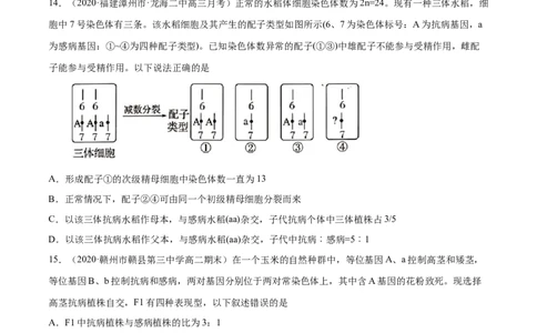解密11遗传的基本规律（分层训练）（原卷版）_新高考复习资料_2021年新高考资料_高频考点解密2021年高考生物二轮复习讲义+分层训练4.7更新