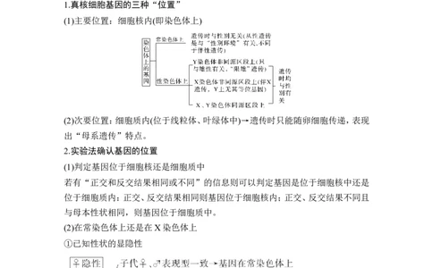 补上一课4基因位置的确认及遗传实验设计_新高考复习资料_2022年新高考复习资料_2022年一轮复习最新版_1.2022年高考生物一轮复习全国通用版_赠送word习题库_必修2